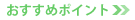 おすすめポイント