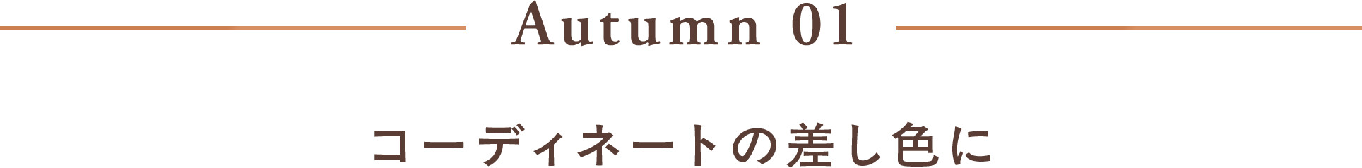 Autumn 01 コーディネートの差し色に