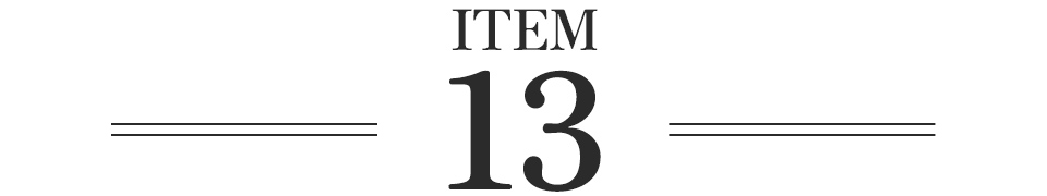 ITEM13