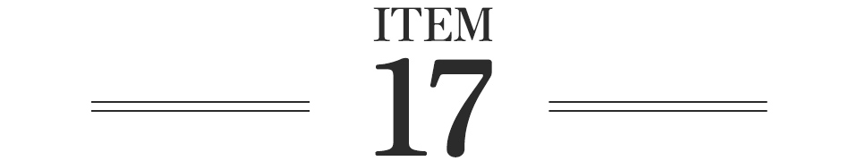 ITEM17