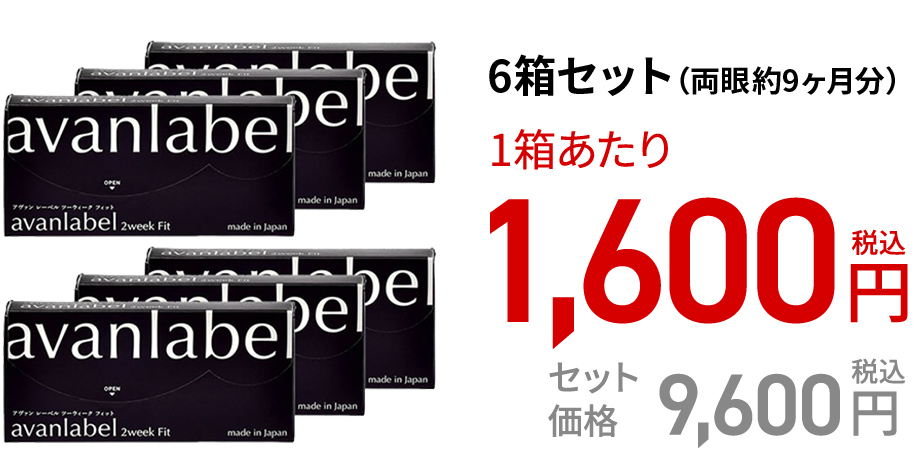 アヴァンレーベル 2week Fit (6枚)　6箱セット(両眼約9ヶ月分)