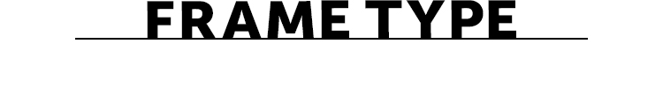 FRAME TYPE
