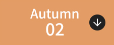 Autumn 02