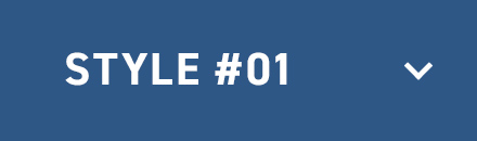 STYLE #01