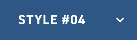 STYLE #04