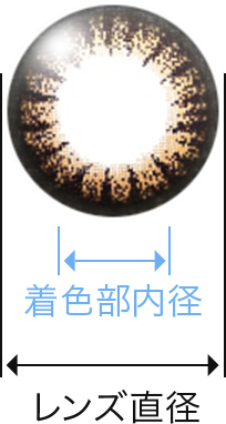 着色部内径