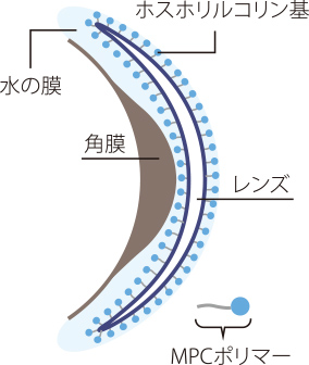 眼にやさしく、涙のうるおいが長くつづく