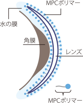ヒアルロン酸の約2倍の保水力で、乾きにくいレンズ