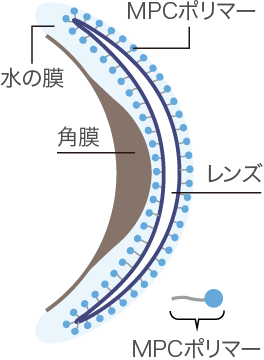 ヒアルロン酸の約2倍の保水力で、乾きにくいレンズ