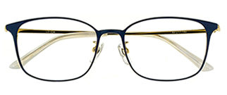 LD-034 Navy