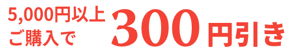 3,000円以上ご購入で300円引き