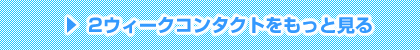 2週間使い捨てコンタクトレンズをもっと見る
