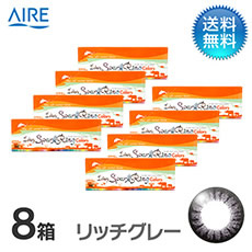 ワンデースパークリングカラー (30枚)／リッチグレー　8箱セット