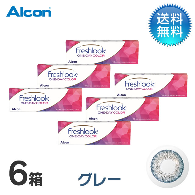フレッシュルックワンデーカラー (10枚)／グレー　6箱セット