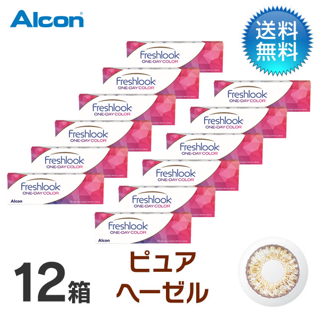 フレッシュルックワンデーカラー (10枚)／ピュアへーゼル　12箱セット