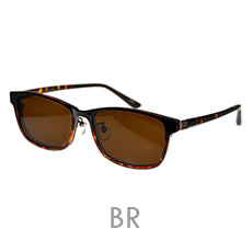 CV-501-2 BR