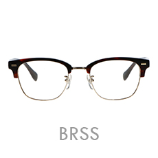 LD-110-2 BRSS